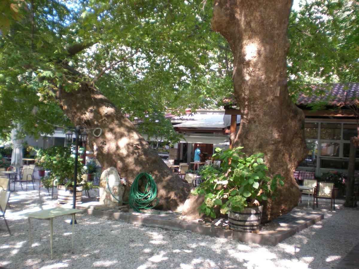 Difo Hotel Loutra Edipsou  Buitenkant foto